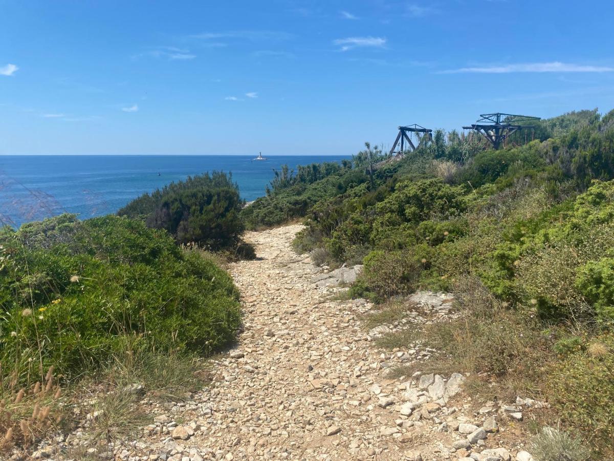 Villa Brig 36 Premantura Dış mekan fotoğraf