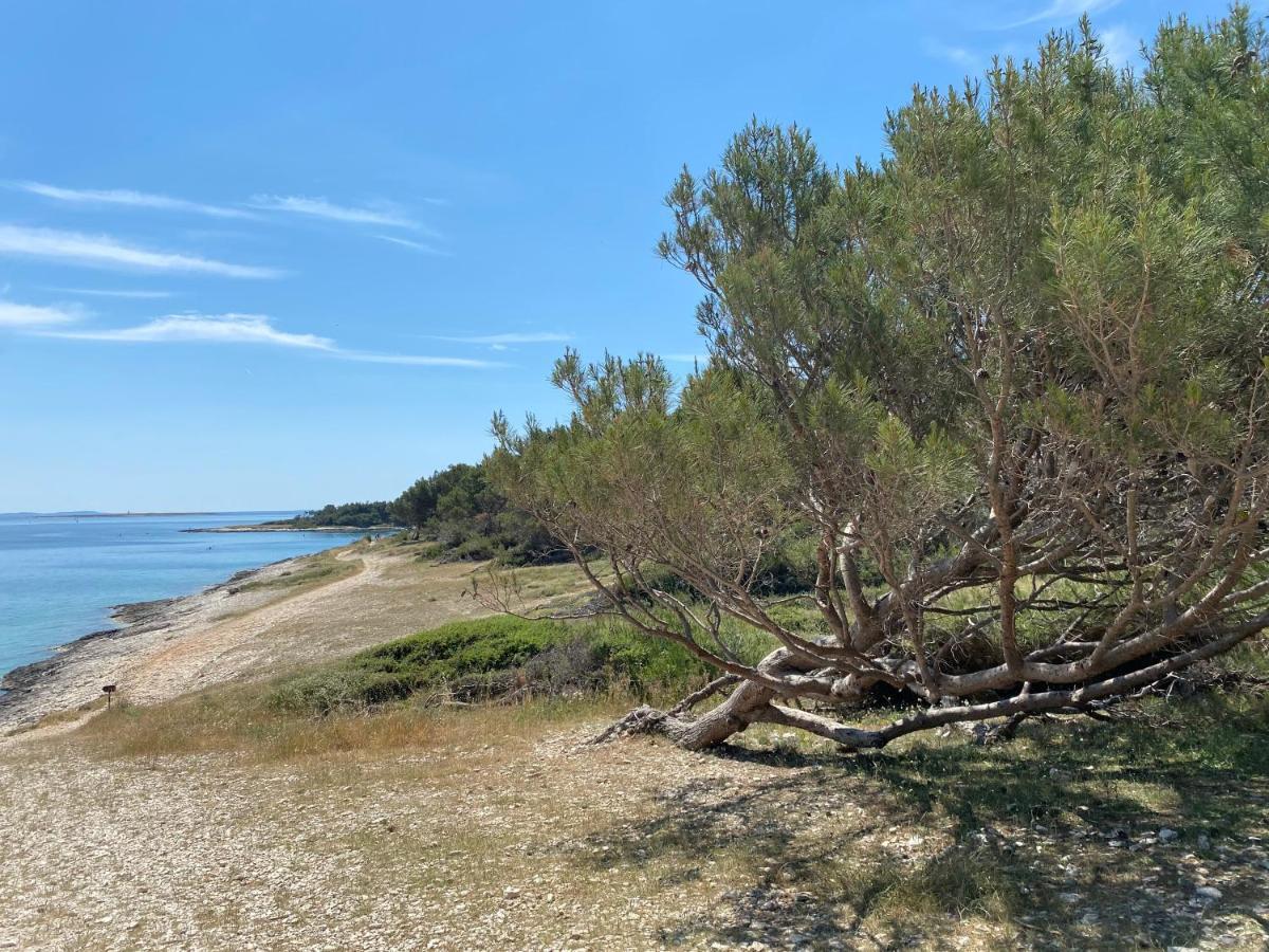 Villa Brig 36 Premantura Dış mekan fotoğraf